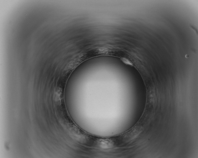 X0000099550275200805231158