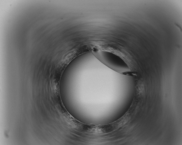 X0000099550276200805231158