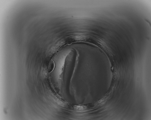 X0000099550277200805231158