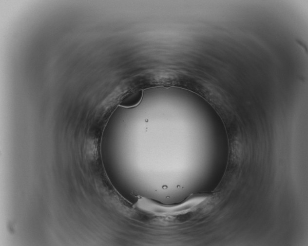 X0000099550278200805231159