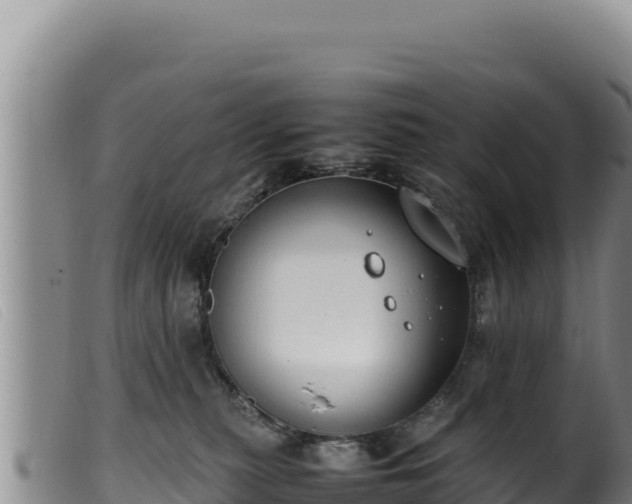 X0000099550279200805231159