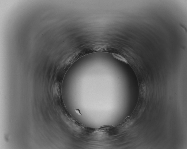 X0000099550280200805231159