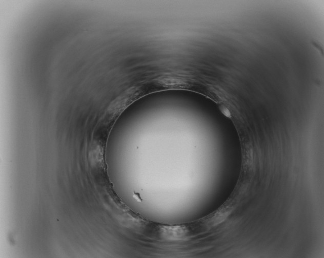 X0000099550281200805231159