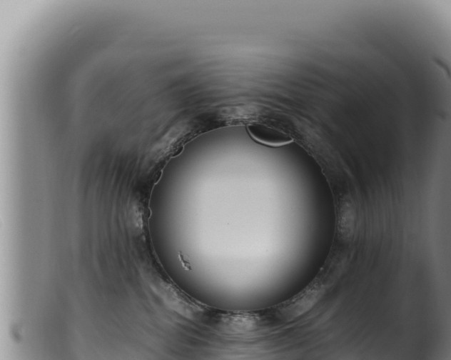 X0000099550282200805231159