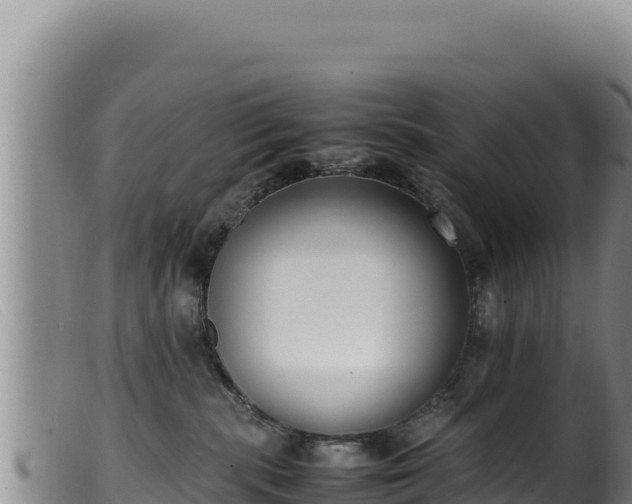 X0000099550283200805231159