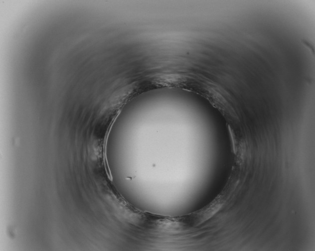 X0000099550284200805231159