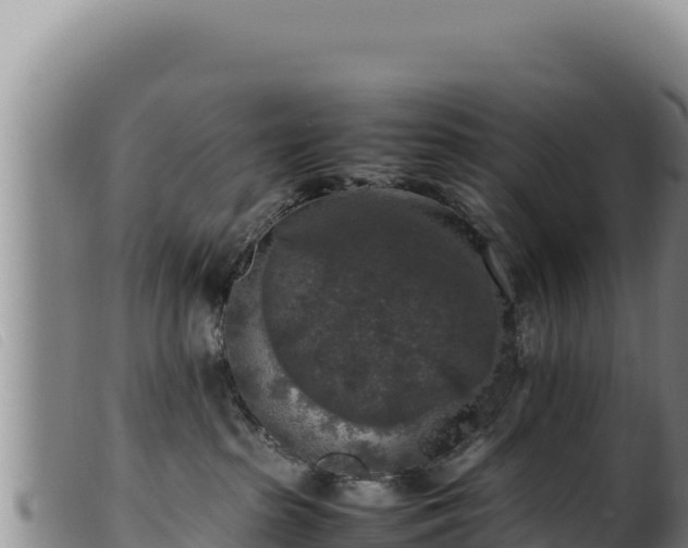 X0000099550285200805231159