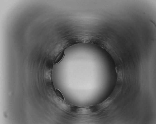 X0000099550286200805231159