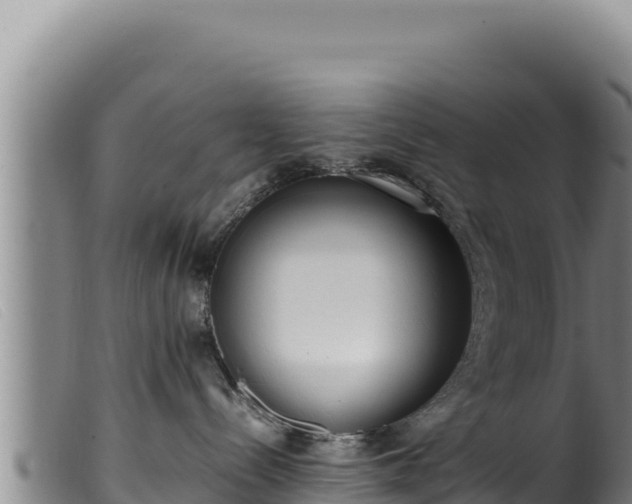 X0000099550288200805231159