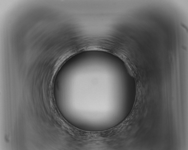 X0000099550289200805231158