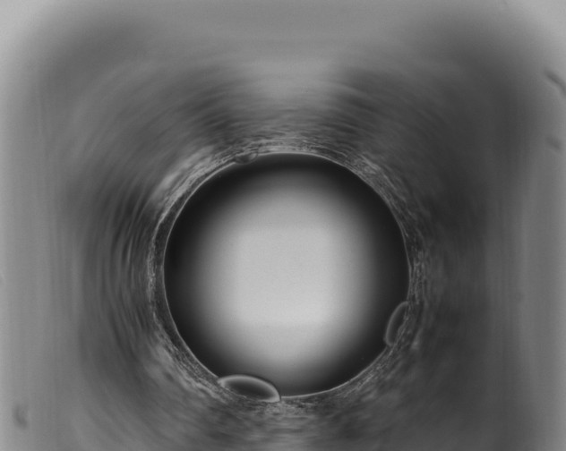 X0000099550290200805231158