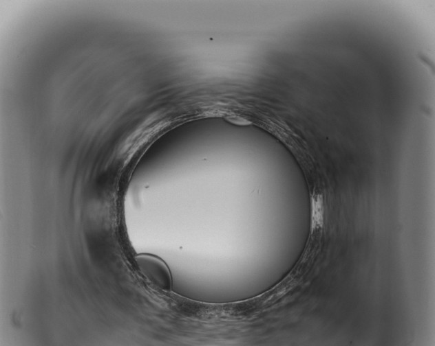 X0000099550291200805231158