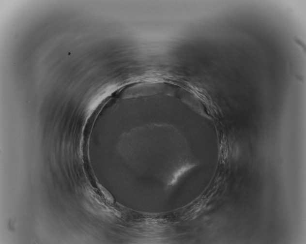 X0000099550292200805231158