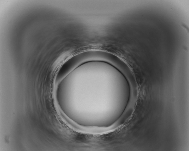 X0000099550293200805231158