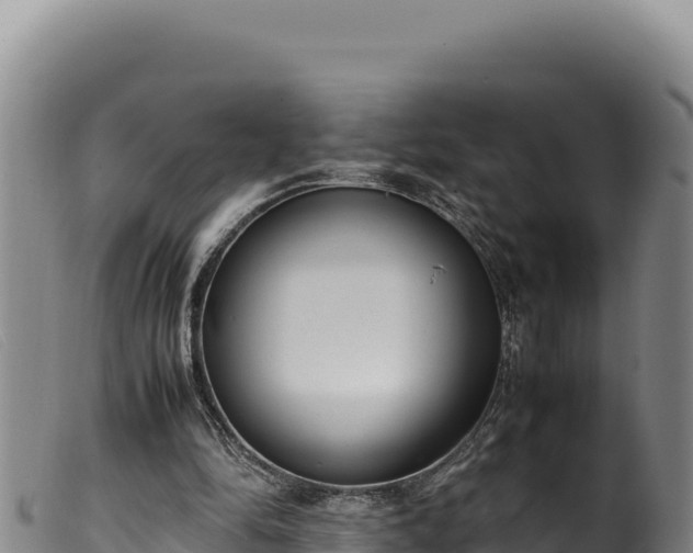 X0000099550294200805231158