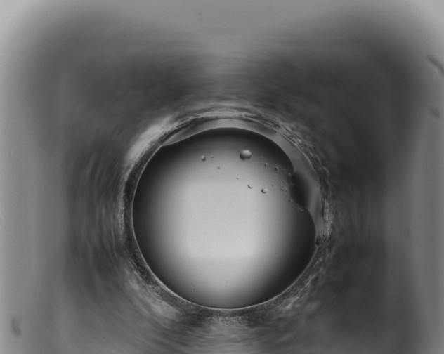 X0000099550296200805231158