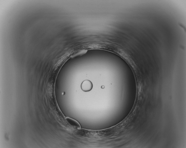 X0000099550297200805231158