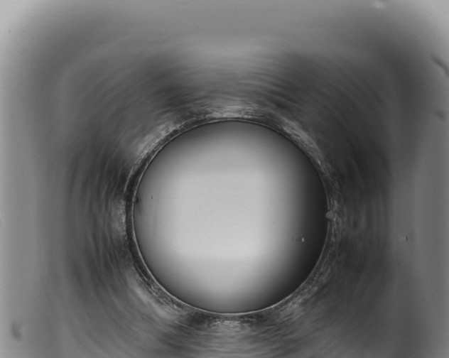 X0000099550298200805231158