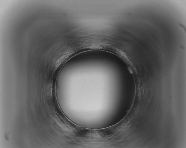 X0000099550299200805231158