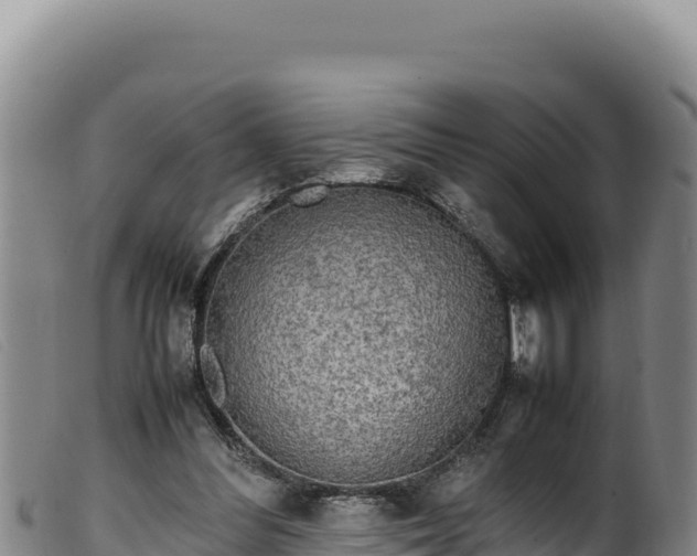 X0000099550300200805231158