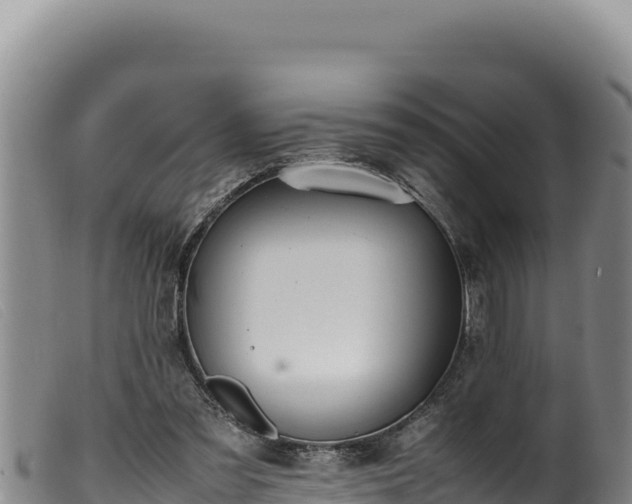 X0000099550301200805231158