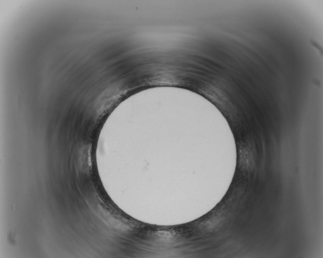 X0000099550302200805231158