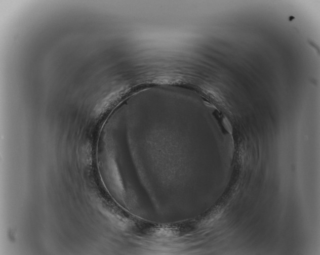 X0000099550303200805231158