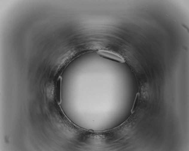 X0000099550304200805231158