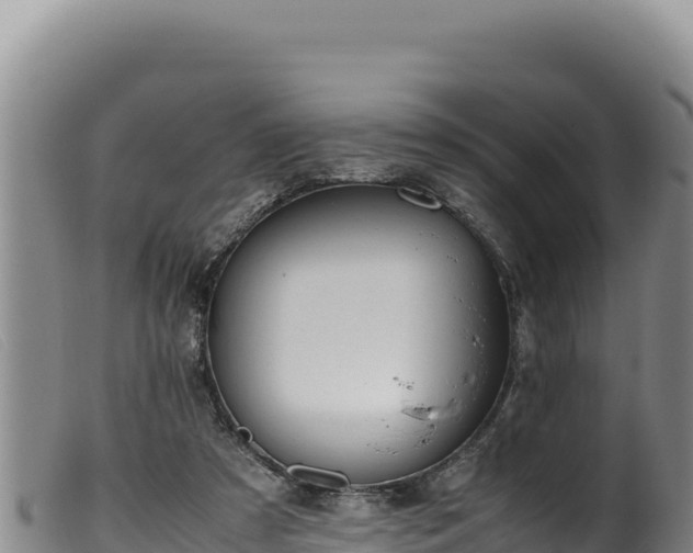 X0000099550305200805231158