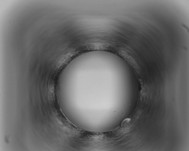 X0000099550306200805231158