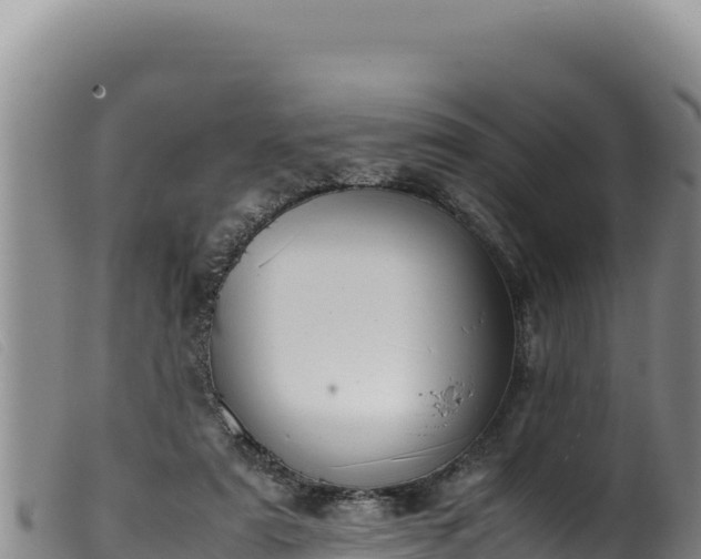 X0000099550307200805231158