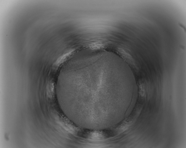 X0000099550308200805231158