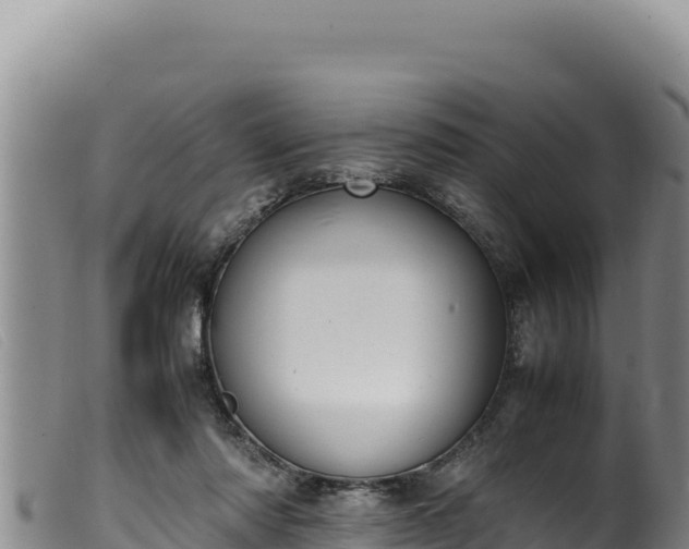 X0000099550310200805231158