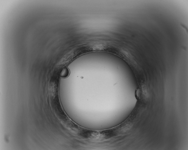 X0000099550311200805231158