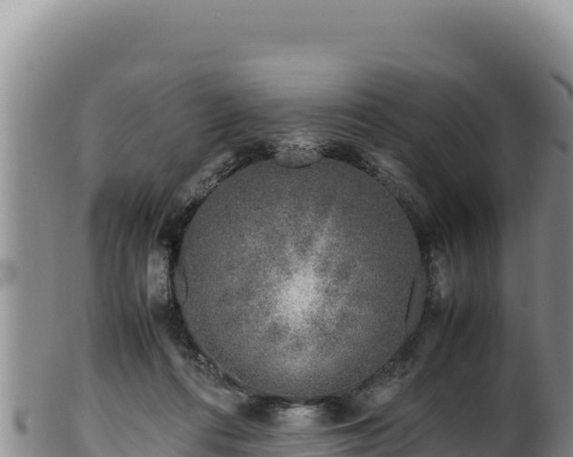 X0000099550312200805231158