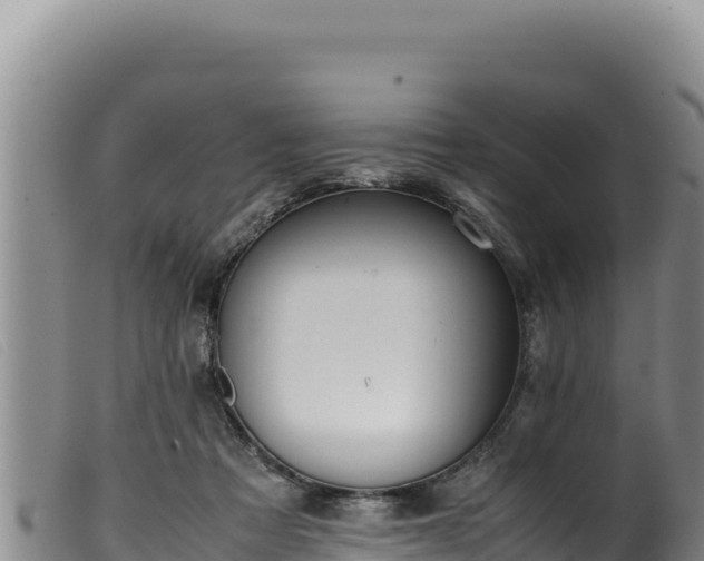 X0000099550313200805231158