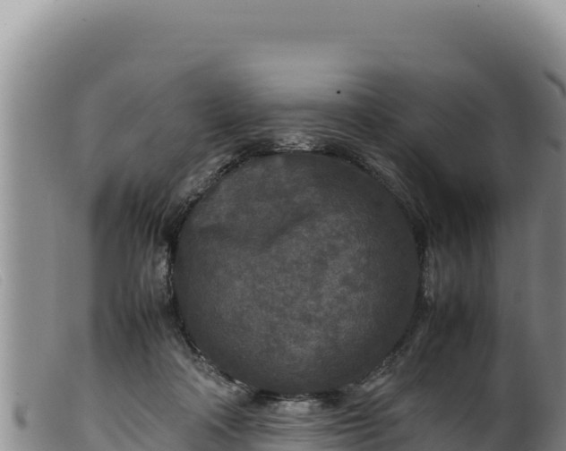 X0000099550314200805231157