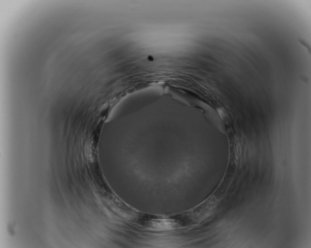 X0000099550316200805231157