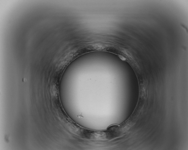 X0000099550317200805231157