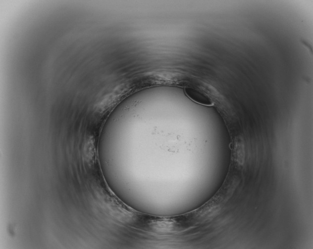 X0000099550318200805231157