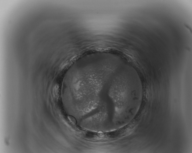 X0000099550319200805231157