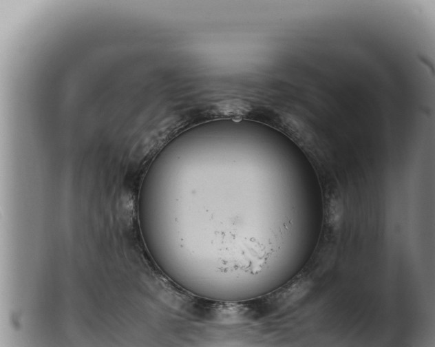 X0000099550321200805231157