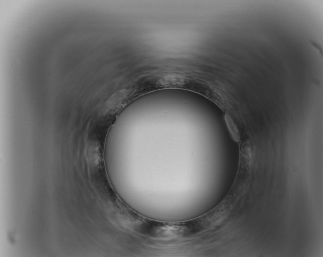 X0000099550323200805231157