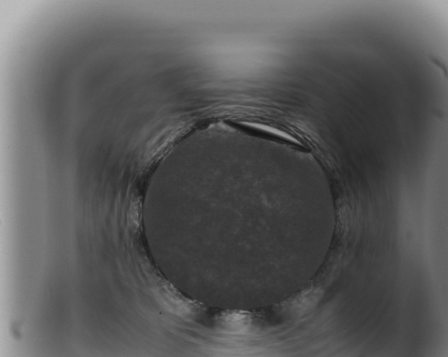 X0000099550325200805231157