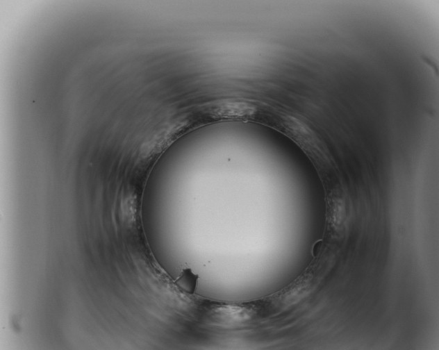 X0000099550326200805231157