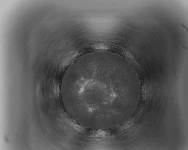 X0000099550330200805231157