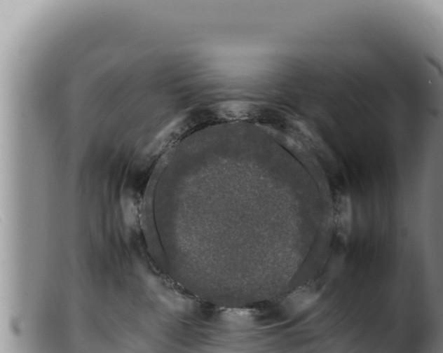 X0000099550332200805231157