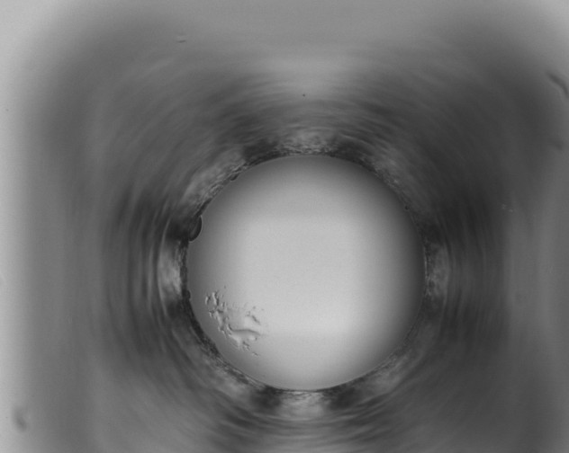 X0000099550334200805231157