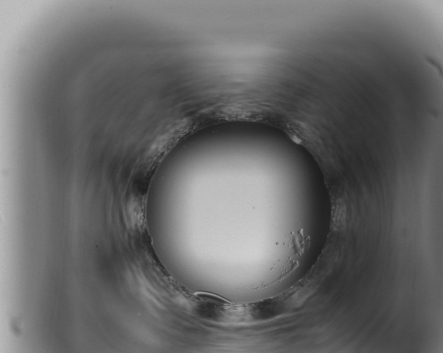 X0000099550335200805231157