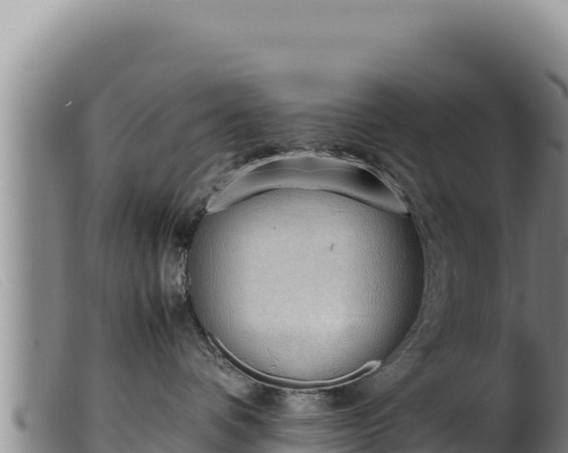 X0000099550336200805231157